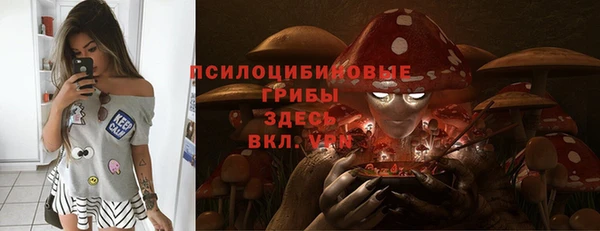 герыч Тайга