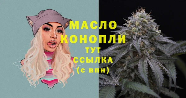 твердый Сясьстрой